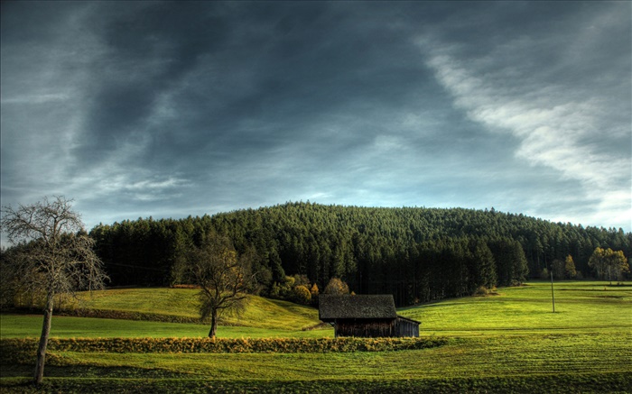 농지, 집, 나무, 구름 배경 화면 그림