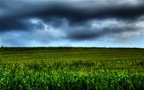 농지의 풍경, 구름, 황혼 HD 배경 화면