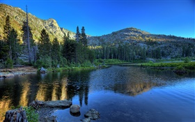 숲, 호수, 산, 아침 HD 배경 화면