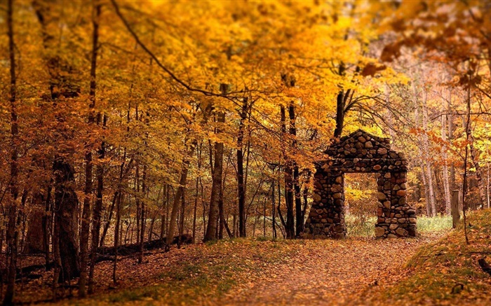 숲, 나무, 가을, 빨간색 스타일, 돌 게이트 배경 화면 그림