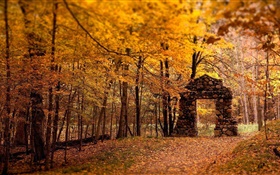 숲, 나무, 가을, 빨간색 스타일, 돌 게이트 HD 배경 화면