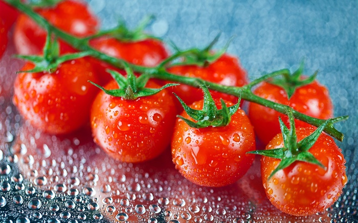 신선한 과일, 빨간 토마토, 물 방울 배경 화면 그림