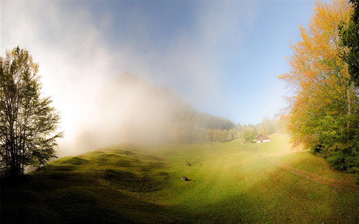 잔디, 안개, 아침, 집, 글 라루스, 스위스 배경 화면 그림