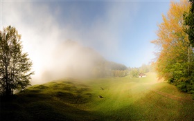 잔디, 안개, 아침, 집, 글 라루스, 스위스 HD 배경 화면