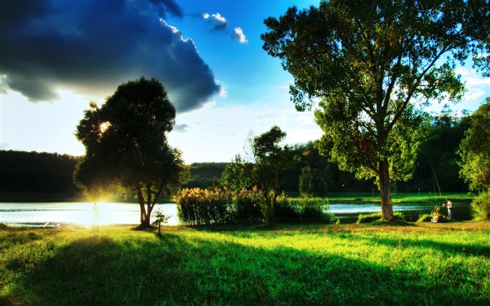 잔디, 나무, 강변, 태양 광선, 구름 배경 화면 그림