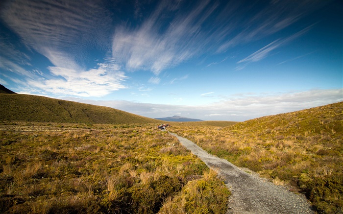 자갈 도로, 잔디, 코로만 델 반도, 뉴질랜드 배경 화면 그림