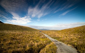 자갈 도로, 잔디, 코로만 델 반도, 뉴질랜드 HD 배경 화면