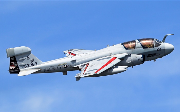 그루 먼 EA-6B 배회 항공기 배경 화면 그림