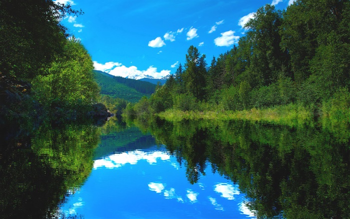 호수, 숲, 나무, 푸른 하늘, 물 반사 배경 화면 그림