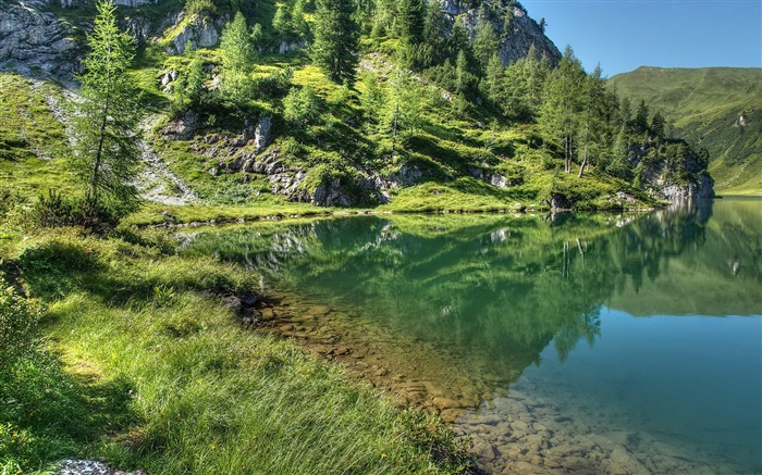호수, 산, 나무, 잔디, 물 반사 배경 화면 그림