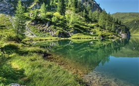 호수, 산, 나무, 잔디, 물 반사 HD 배경 화면