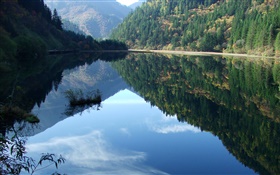 호수, 산, 나무, 물 반사 HD 배경 화면