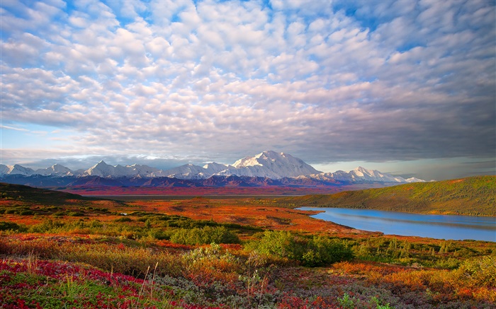 호수, 나무, 구름, 황혼, 데날리 국립 공원, 알래스카, 미국 배경 화면 그림