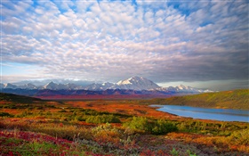 호수, 나무, 구름, 황혼, 데날리 국립 공원, 알래스카, 미국 HD 배경 화면