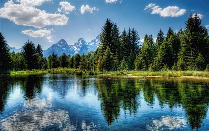 호수, 나무, 산, 구름, 물 반사 배경 화면 그림