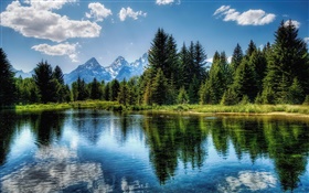 호수, 나무, 산, 구름, 물 반사 HD 배경 화면