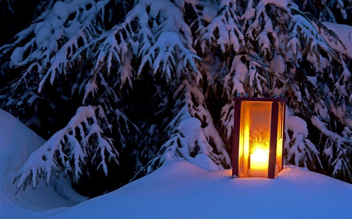 불이 랜턴, 눈 덮인 나무, 겨울 배경 화면 그림