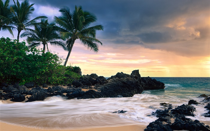 마케 코브, 마우이 섬, 하와이, 비밀 비치 배경 화면 그림