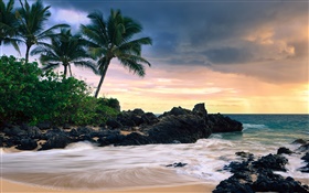 마케 코브, 마우이 섬, 하와이, 비밀 비치 HD 배경 화면