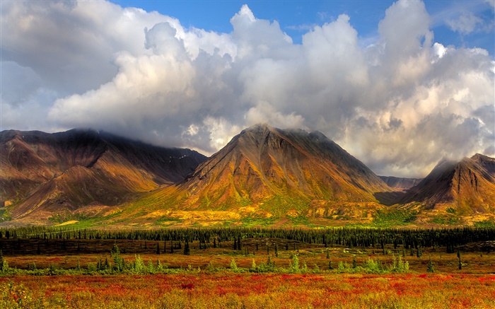 산, 나무, 구름, 데날리 국립 공원, 알래스카, 미국 배경 화면 그림