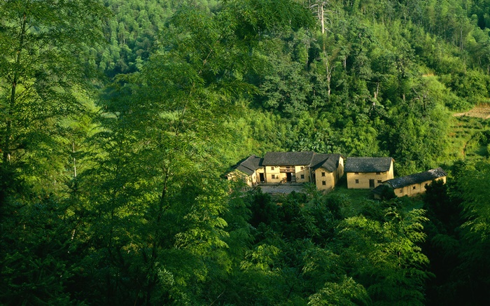 산, 나무, 녹색, 오래된 집, 중국 풍경 배경 화면 그림