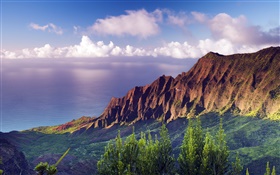 하와이에서 나 팔 리어 해안 주립 공원 일몰 HD 배경 화면