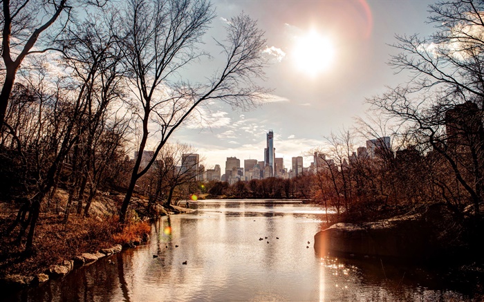 공원, 일몰, 도시, 미국, 강, 나무, 가을 배경 화면 그림
