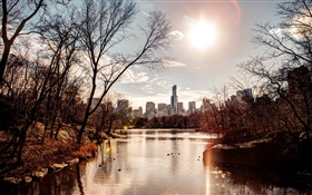 공원, 일몰, 도시, 미국, 강, 나무, 가을 HD 배경 화면