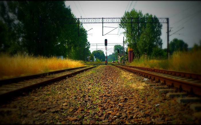 철도, 나무, 전선, 적색광 배경 화면 그림