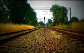 철도, 나무, 전선, 적색광 HD 배경 화면