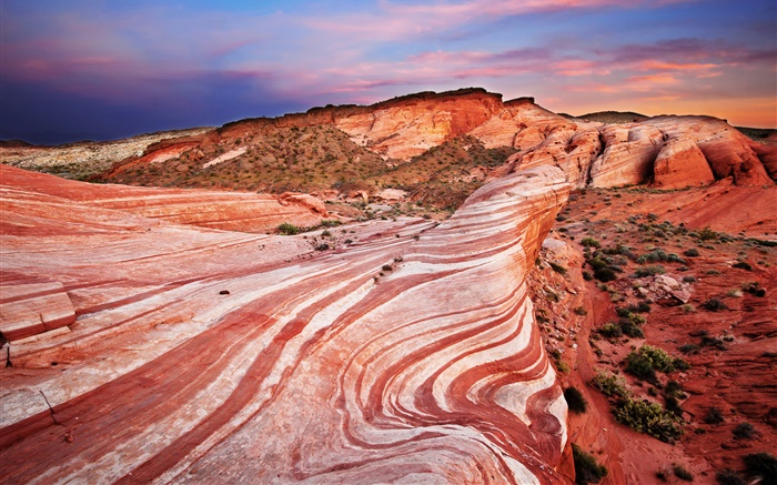 붉은 바위, 사막, 일몰 배경 화면 그림