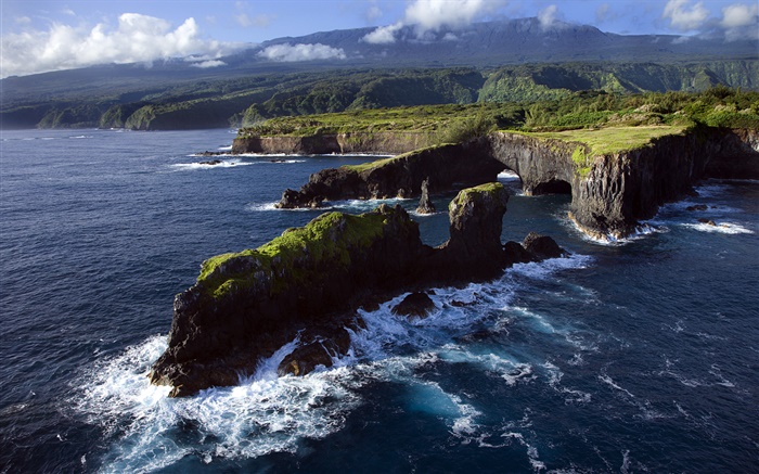 바위 해안, 태평양, 마우이, 하와이 배경 화면 그림