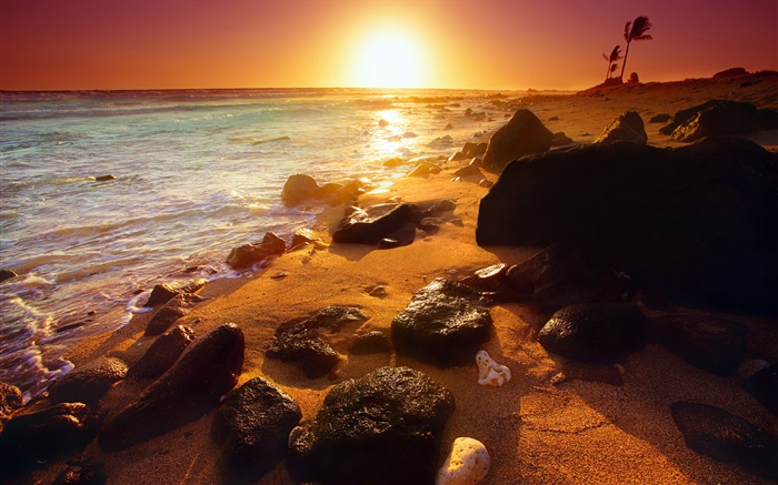 바위 해안, 일몰, 하와이, 미국 배경 화면 그림
