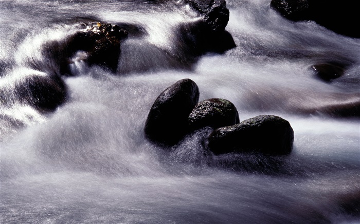 스트림, 강, 검은 돌 배경 화면 그림