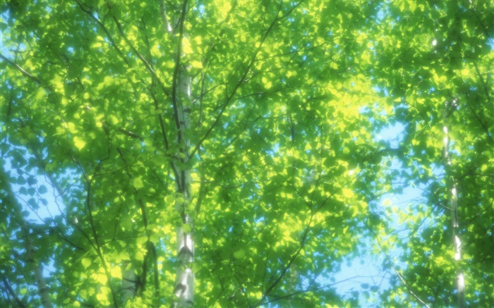 여름 자작 나무 숲, 태양, 흐리게 배경 화면 그림