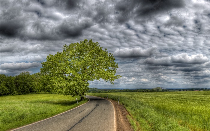 두꺼운 구름, 나무, 잔디, 도로, 집 배경 화면 그림