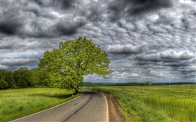 두꺼운 구름, 나무, 잔디, 도로, 집 HD 배경 화면