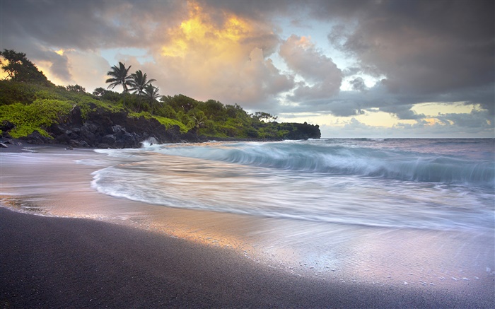 파도, 하와이 검은 모래 해변 충돌 배경 화면 그림
