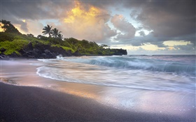 파도, 하와이 검은 모래 해변 충돌 HD 배경 화면