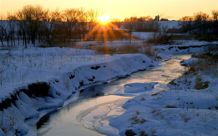 겨울, 강, 눈, 나무, 새벽, 일출 배경 화면 그림