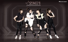 2NE1, 한국 음악 소녀 07