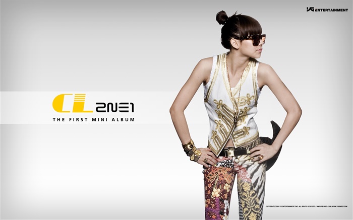 2NE1, 한국 음악 소녀 09 배경 화면 그림