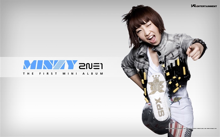 2NE1, 한국 음악 소녀 11 배경 화면 그림