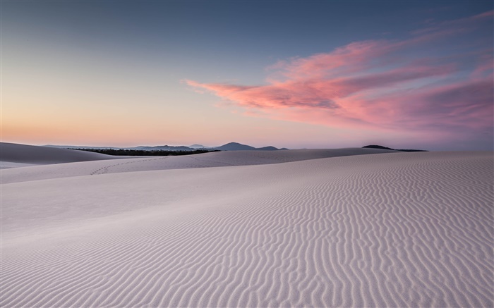 베넷 해변, 호주, 모래, 모래 언덕 배경 화면 그림