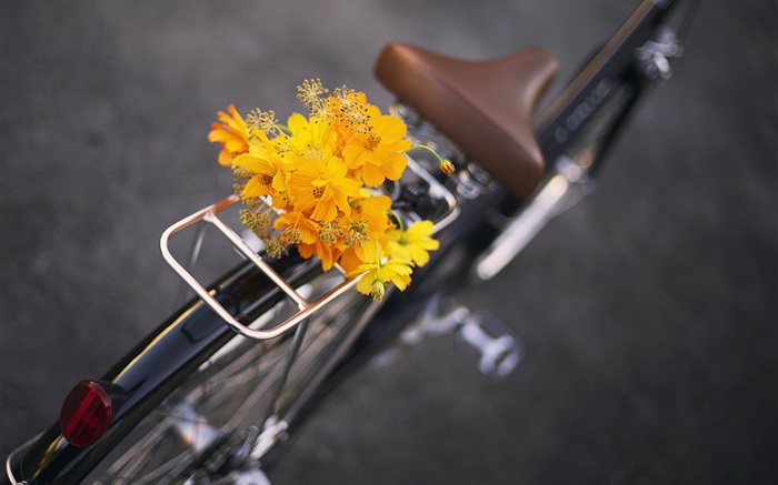자전거, 노란 꽃, 꽃다발 배경 화면 그림