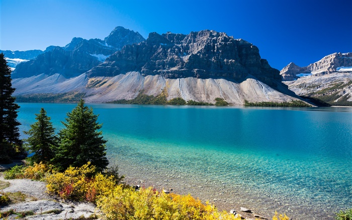 보우 호수, 앨버타, 캐나다, 산, 나무, 푸른 하늘 배경 화면 그림