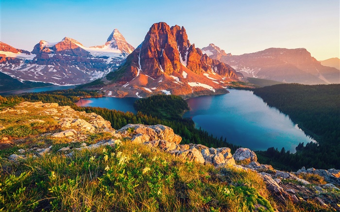 캐나다, 브리티시 컬럼비아, 호수, 산, 숲, 나무 배경 화면 그림