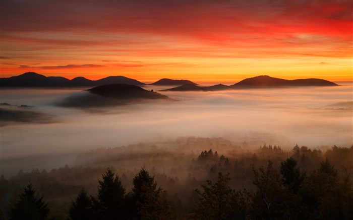 새벽, 산, 숲, 구름, 붉은 하늘, 안개 배경 화면 그림