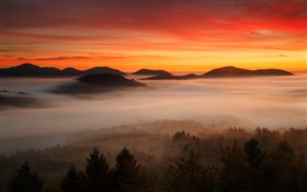 새벽, 산, 숲, 구름, 붉은 하늘, 안개 HD 배경 화면