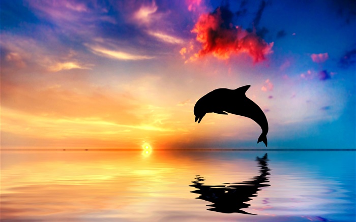 돌고래 점프, 실루엣, 바다, 물 반사, 일몰 배경 화면 그림